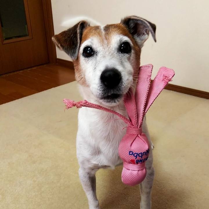 A6f9fca6 43e7 4e6c 85b9 6e0c26b66ec5 1535177722245