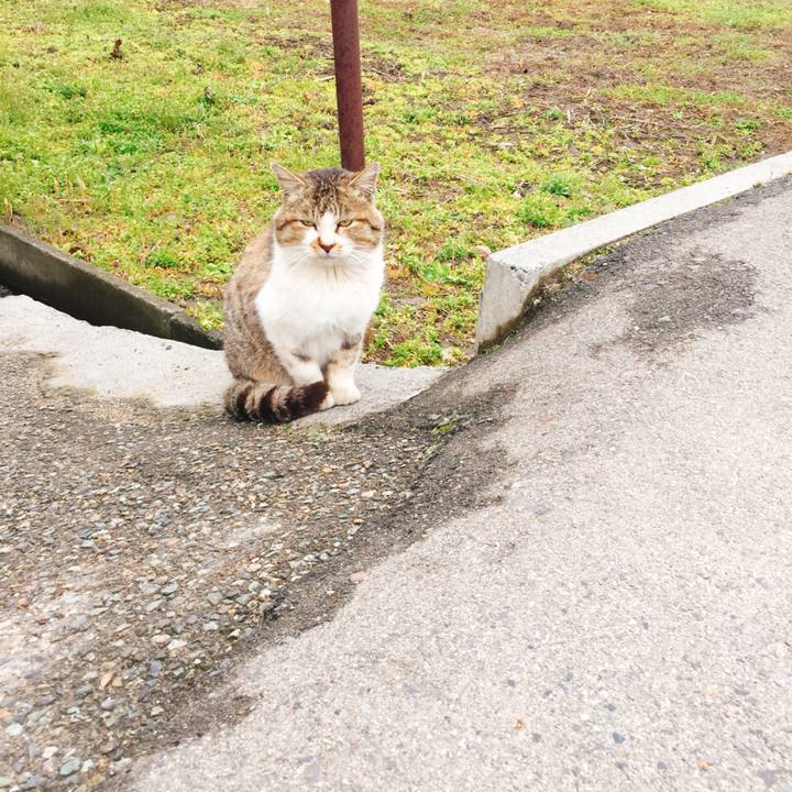 A6fa3707 8ab3 4413 85dc e215e375309e 1523262121540