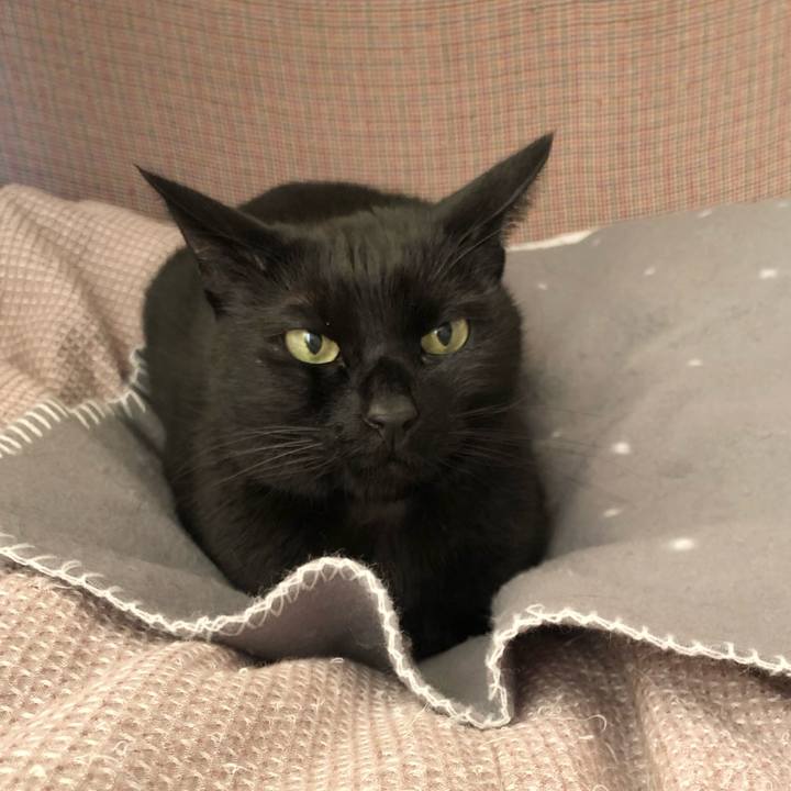 A6fa426b c9f9 430a 8744 7653ff09956f 1613877486212