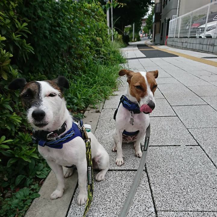 A6fa5c6c da87 4e5d b352 3a98a8b44e66 1534023378849