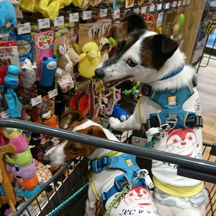 A6fa5eb6 aae4 4aec a9d6 6f8791971bcc 1597563323587