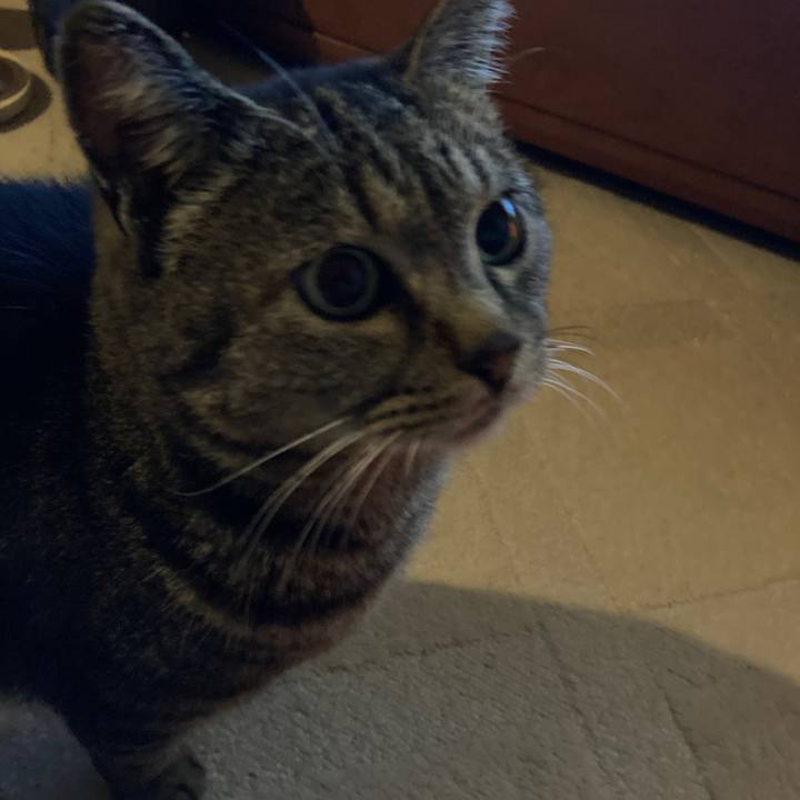 A6fa94bd 56e2 49fe 9109 399088a15c72 1682210853936