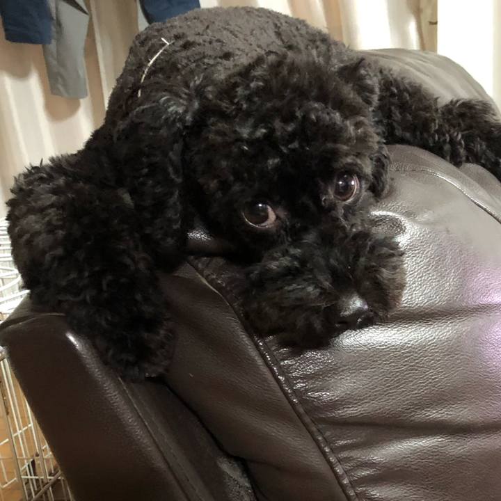 A6faccd1 8c7b 47ae 85e1 3a44dc9f312f 1535844704731