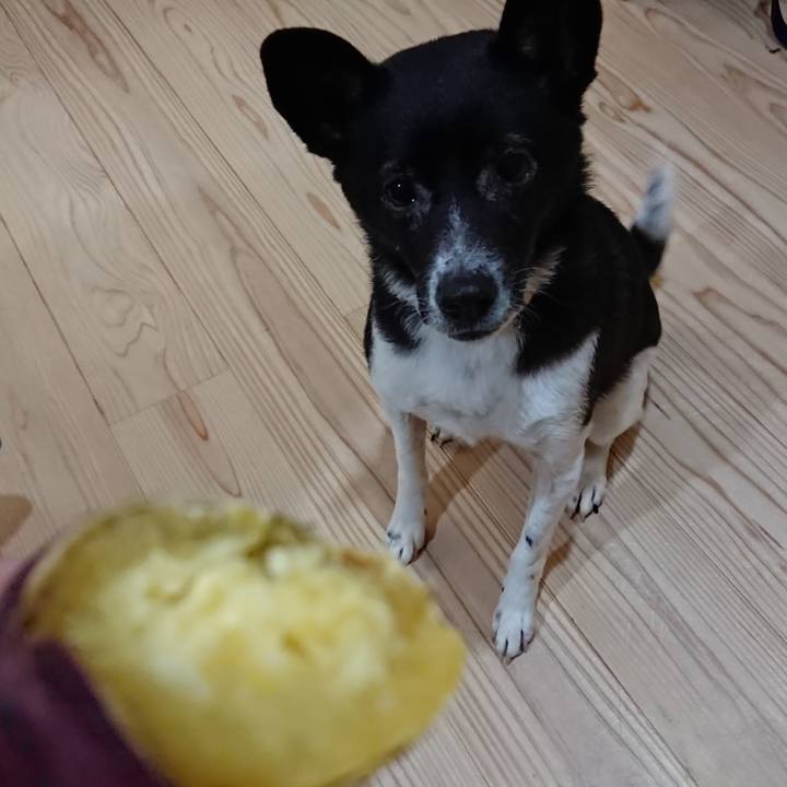 A6fb2ed5 a9f3 4442 9127 9560ec74bc41 1583743689022