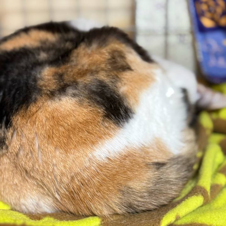 A6fb380f dde1 4f31 9b85 1a83076e3dec 1737944083513