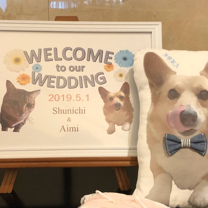 A6fb70c6 d81e 4e7f bb34 7688b487ec38 1556701140717