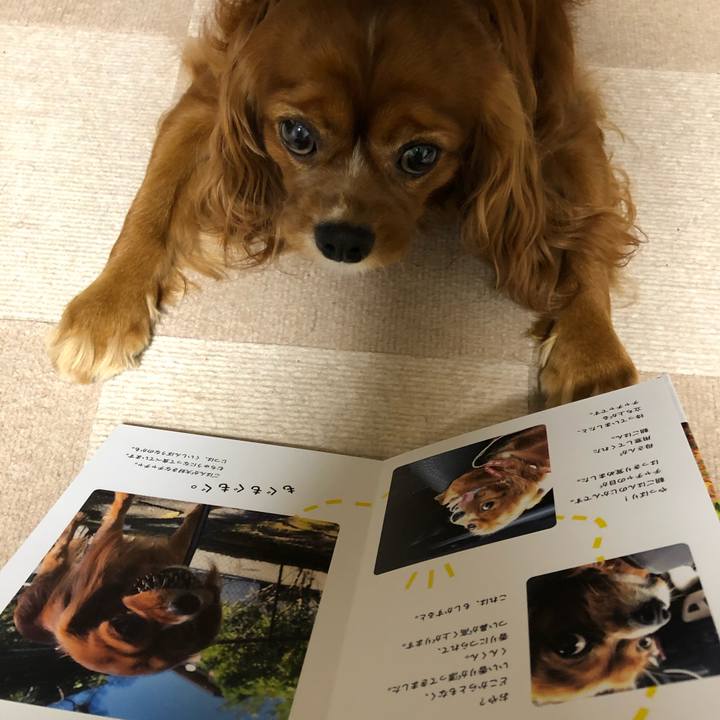 A6fb876e 0e7a 4ff4 bde6 14dd1929b382 1625052232515