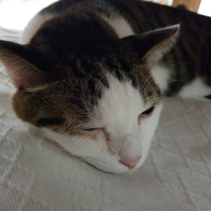 A6fb8788 b9ca 4305 ba66 eaaabad8457a 1582148199044