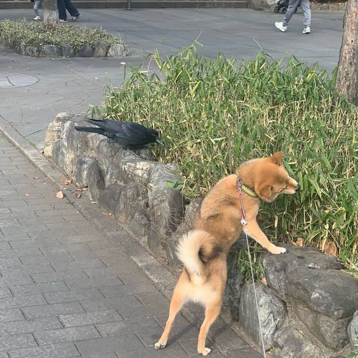 A6fba805 85ca 41d9 99cc cbf340e0cd09 1769428965807