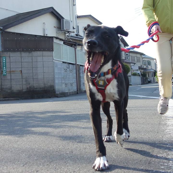 A6fbb5c7 e20e 4cdb 9e81 cebe79100a20 1586305690077