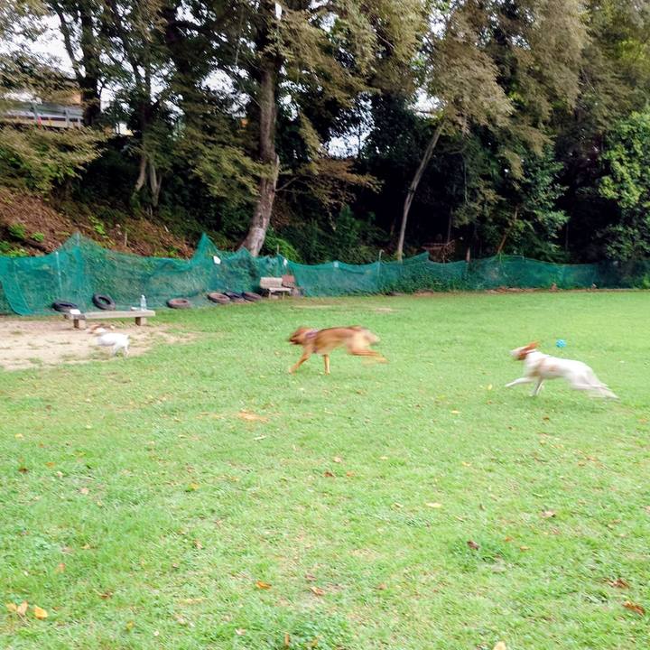 A6fbbf25 c1c9 4e90 b3f2 b90486d227b3 1757898310194