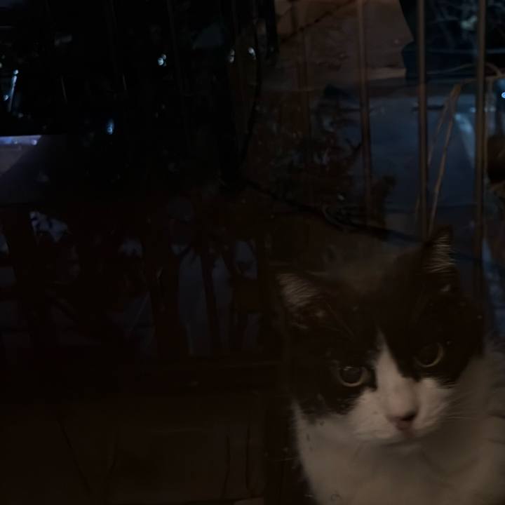 A6fbe8c3 3fe1 4422 ad5e 51a515a1b910 1768042582829