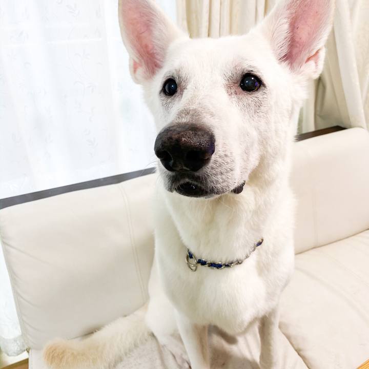 A6fbf93f faa9 41cc a5bd 2fe88cb7f95e 1581835182991