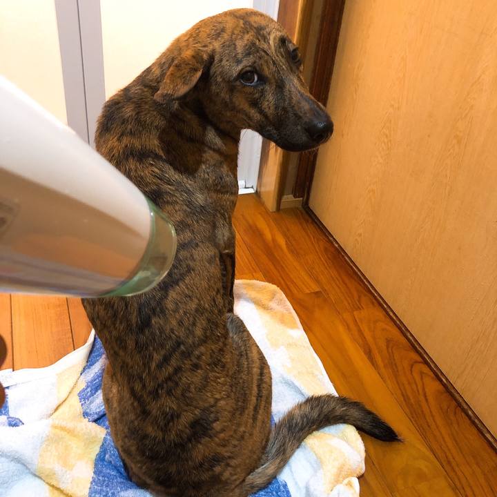 A6fca8c3 d794 41f0 900a 3423292f9d5b 1581075909364