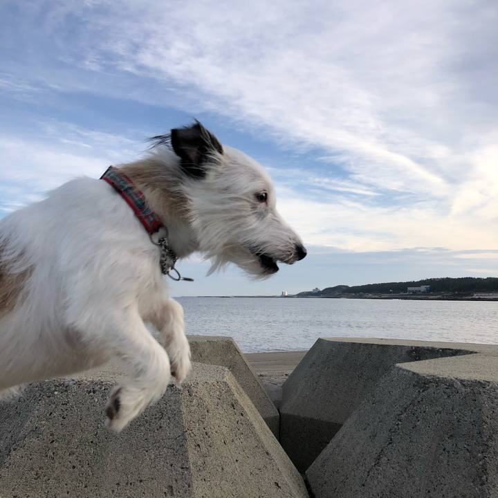 A6fcc0ca 2a9b 4d8e af9e bf74879c630b 1605740687227