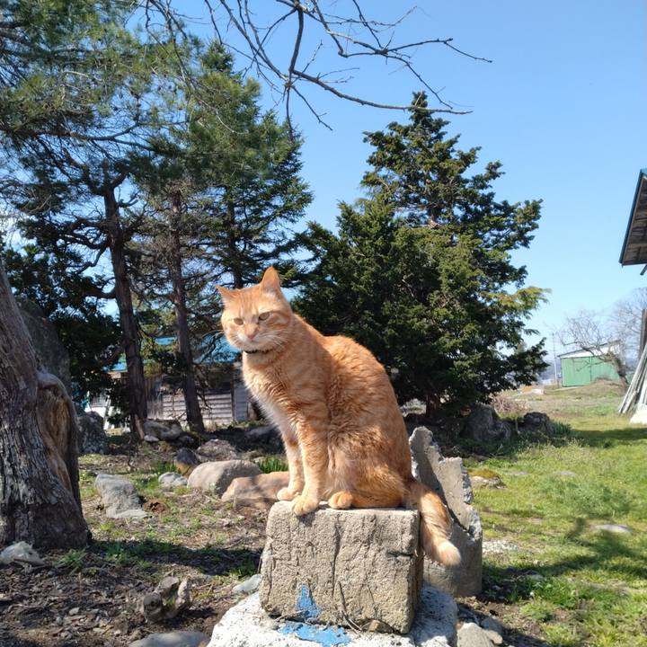 A6fccfbb 94d5 42a0 8f1a c5563d9d07d9 1681102428537