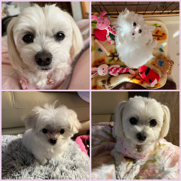 A6fcd784 03b0 4f03 93f3 ac67124ba923 1701934434121