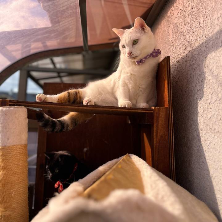 A6fcf76c a726 4f80 9e55 a2268ce3d50d 1770183169319