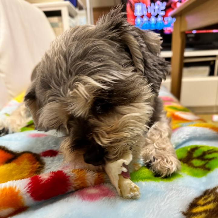 A6fd0e83 dcbc 48a8 a2be 3024276e5448 1708567198611