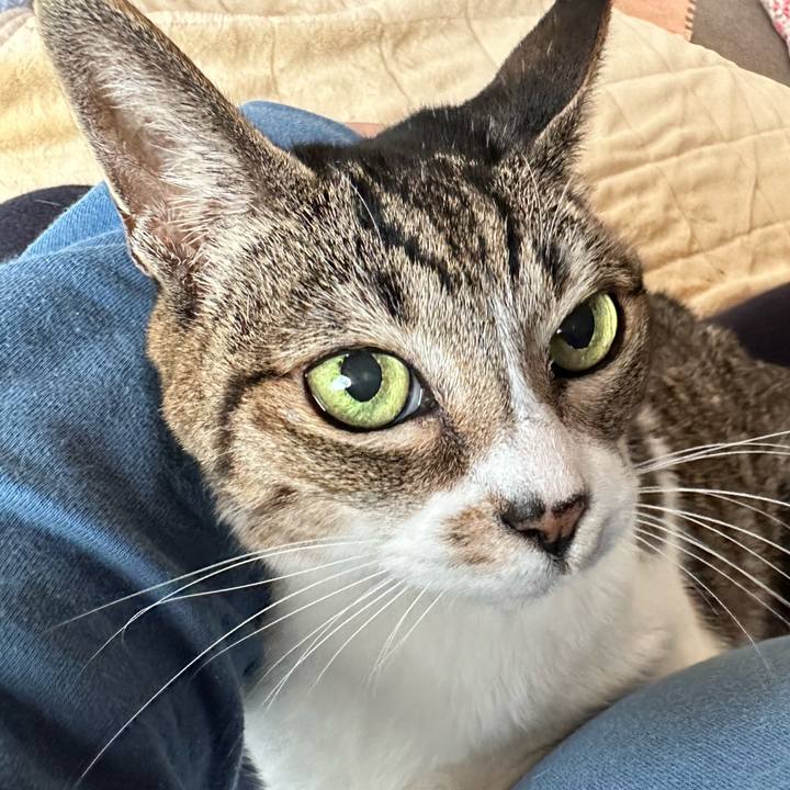 A6fd120f 2057 4576 9a35 d7076dde8b46 1669859753989