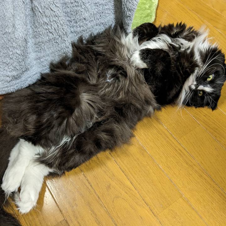 A6fd5fe6 6b5f 4b23 ba01 348027549d27 1679002761907