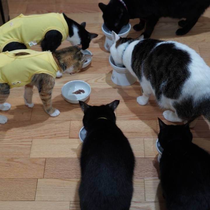 A6fdd15b ec38 4b11 8123 8b6b13c16fce 1579265074836