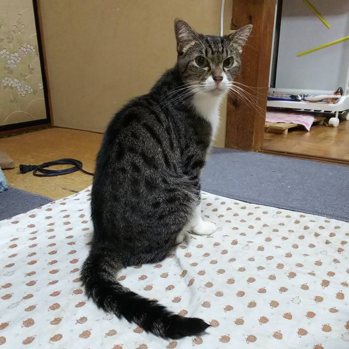 A6fe0122 d850 40b7 82ea 596d00a106c7 1531909633536