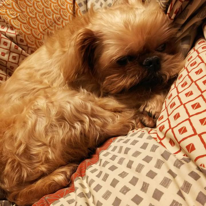 A6fe0b85 650f 419e 9e01 d0d80f84945e 1509200717247