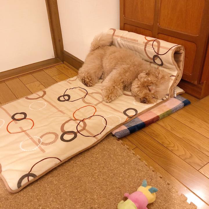 A6fe2b04 aea9 44b9 a2e0 bc3e69d9ee3c 1516451714214