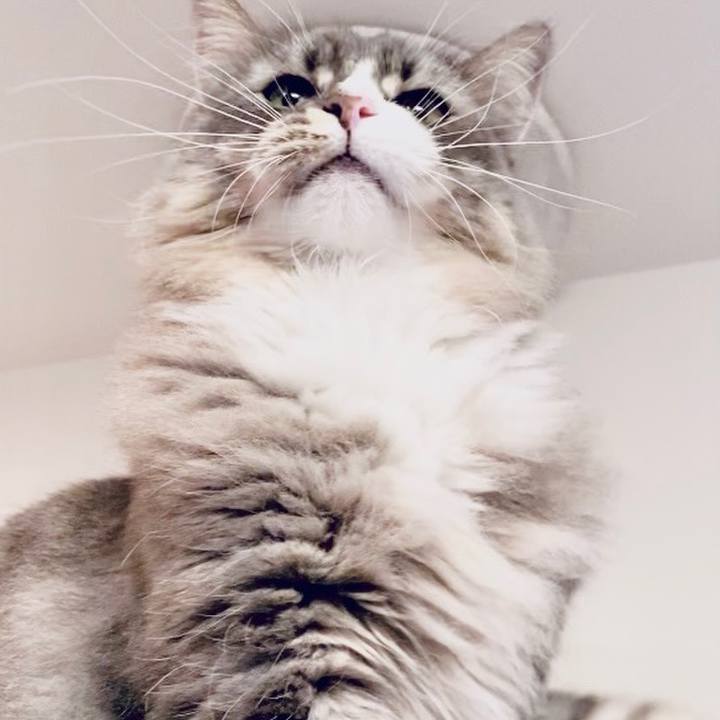 A6fe44eb 46c4 47db 878f ed636f39db52 1606324398624