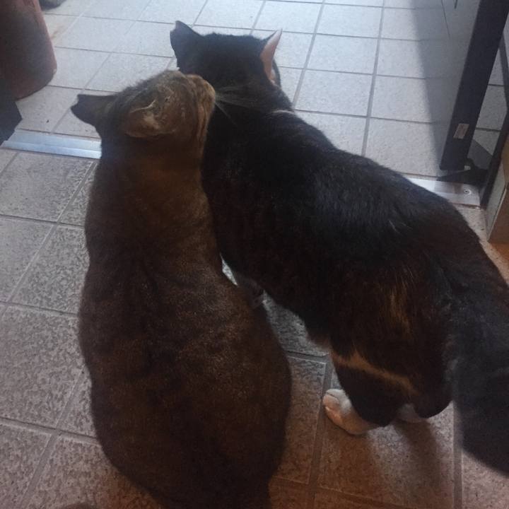 A6fea00d 4540 4afa 832b 6829aca9f75b 1510401555781