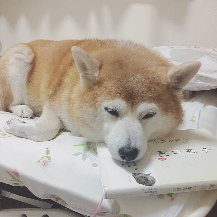 A6fed011 8c8d 498b ab0d c3cbcfb81470 1547479060216