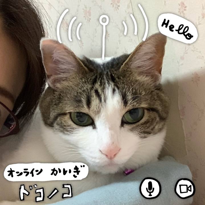 A6fef52b eb40 4bbd 8812 973ac1f16883 1590761367631