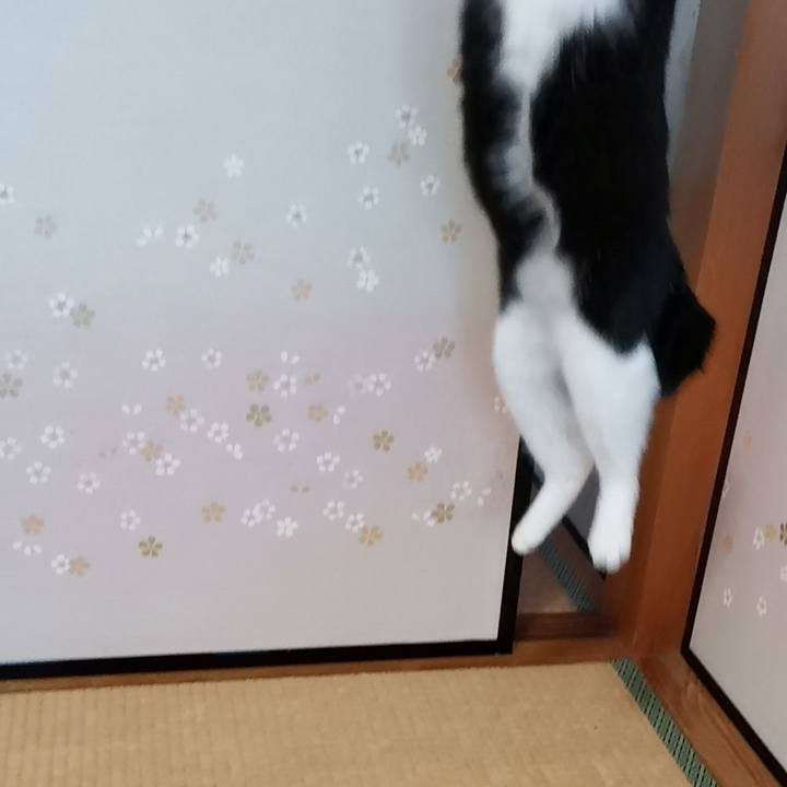 A6ff0770 4868 4194 b69e 6f75bdab1015 1609499111502