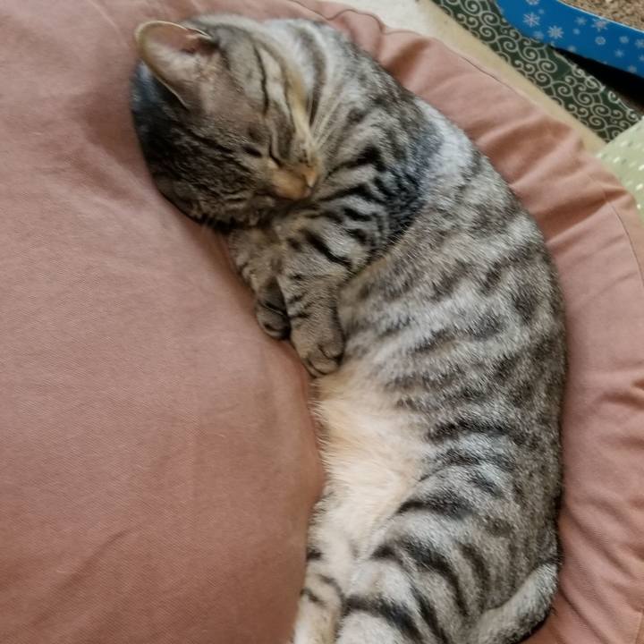 A6ff158e 6532 46c3 a4ff 00d4aee60464 1684850880870