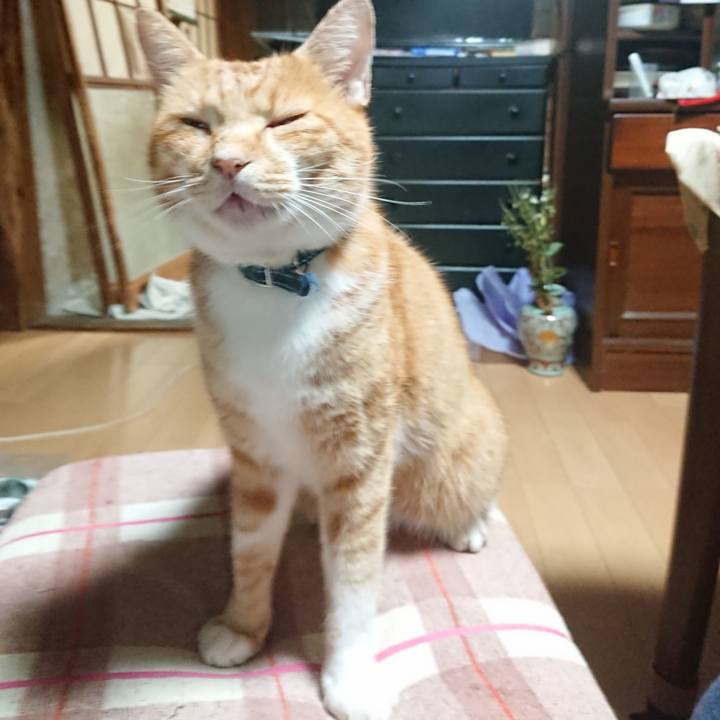 A6ff226c 04ec 4de3 bff3 348fb299c5b1 1600027240642