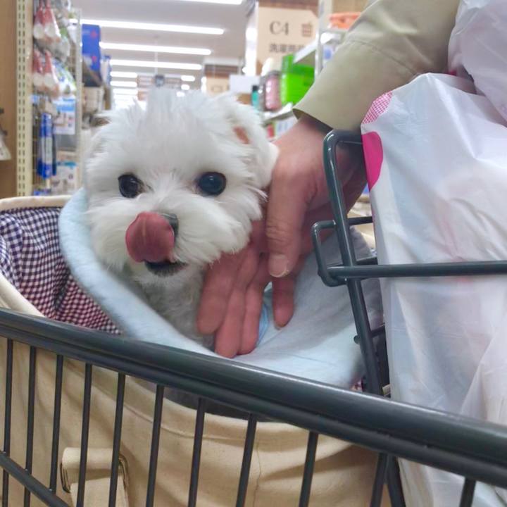 A6ff26c5 670a 42b3 93dd aea349933311 1541925889207