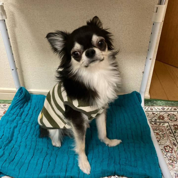 A6ff4ecf 0a66 4c3b 83db d7e0fb9bec51 1652016976337