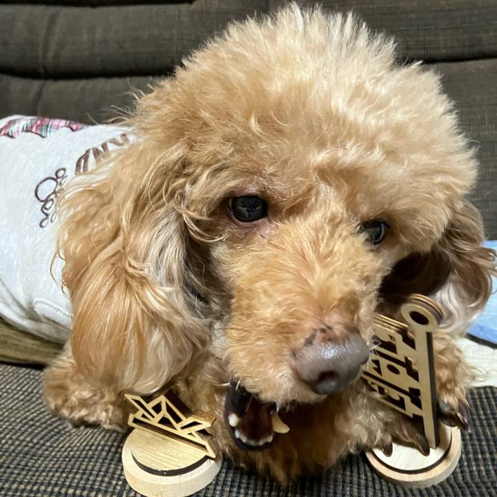 A6ff6412 4f16 40c3 8402 088fc3d85e4f 1683257797427