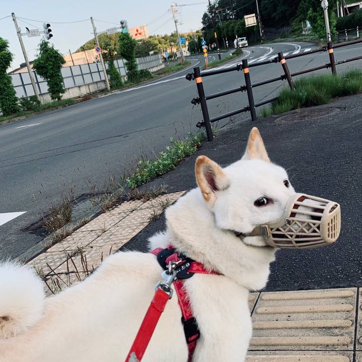 A6ff6b08 06bf 4686 8547 3f7a860c4f3b 1566855409369