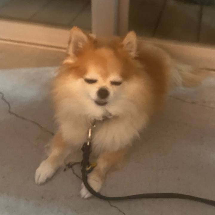 A6ffdaf0 cc24 4de1 bb7d bf6a85f0d7ed 1759324694967