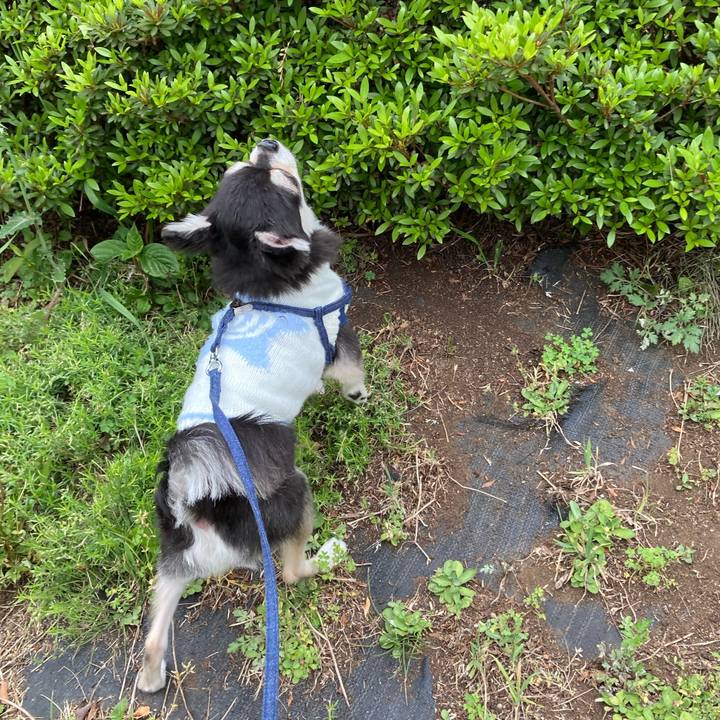 A6ffe54c f52e 4777 8860 2f40620a5b1e 1682142255809