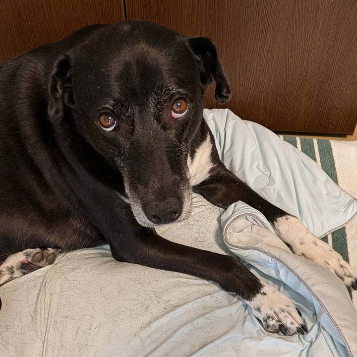 A7000288 72cc 44d2 9be3 f8102dae0783 1725596766379