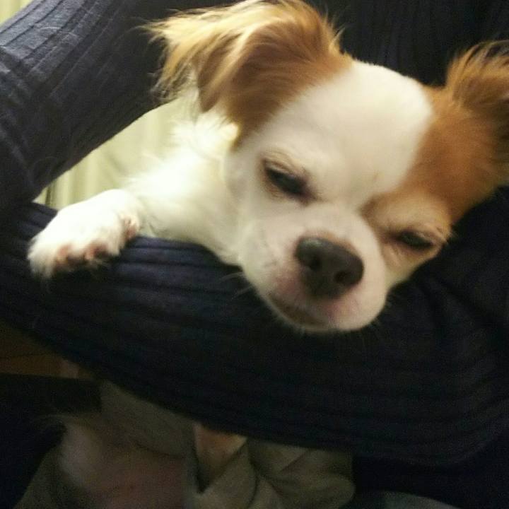 A7000f5a ae8a 45b7 bcca 5daa2550b6c4 1512819533589