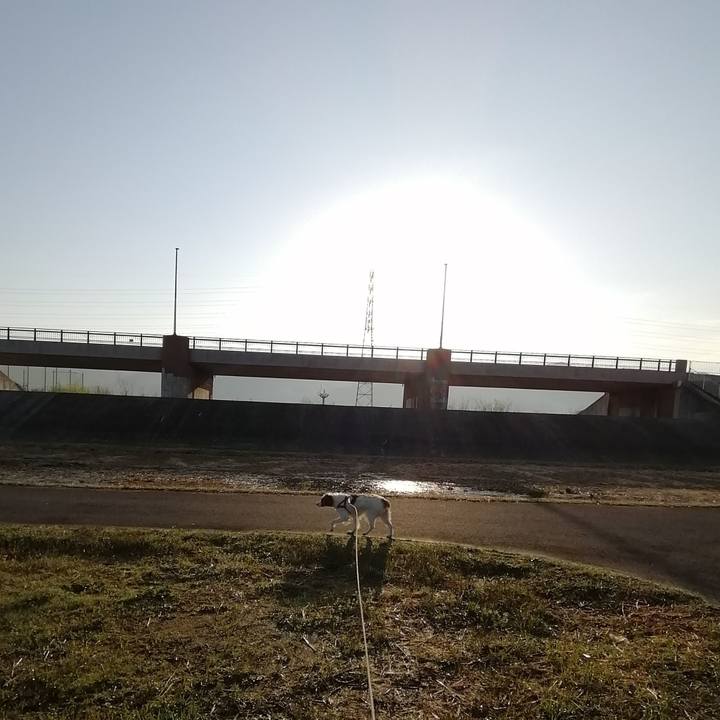 A7002ada 9996 4588 88c0 19fc0b7a50fa 1616498966785