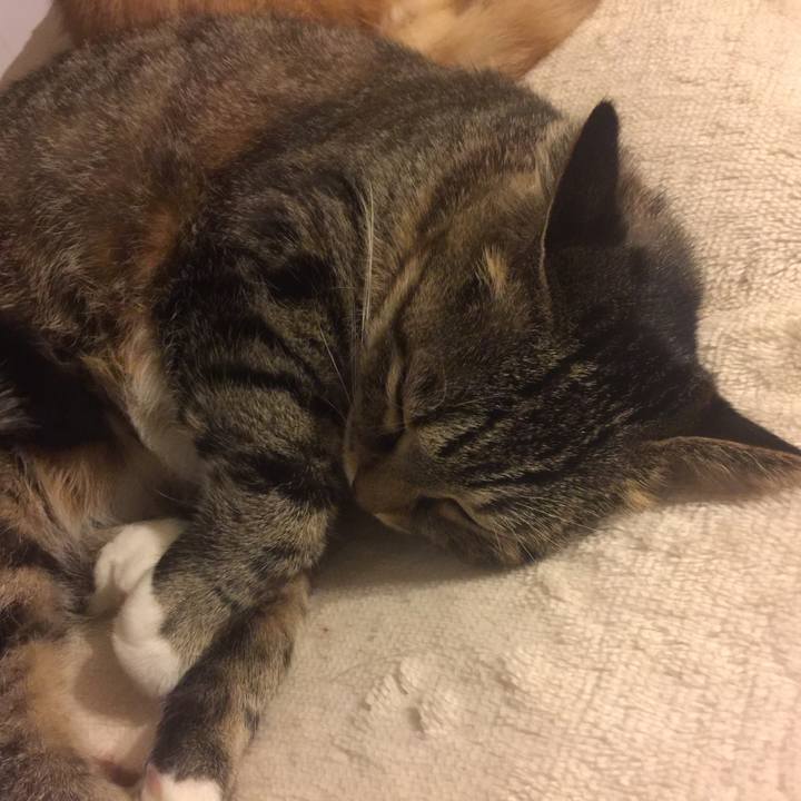 A7002b34 e3f4 43c0 a7cc cbe10af92668 1571586023739