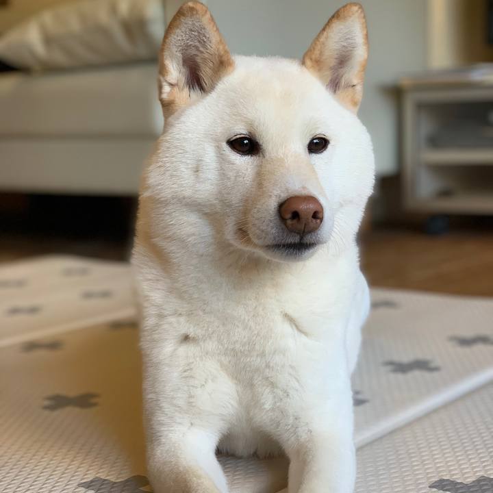 A7003f92 082b 4191 8ca4 c6f1510ecddb 1554249336629