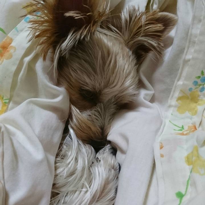 A7009b14 70bf 41f8 be97 1dc92a77f880 1507763061221