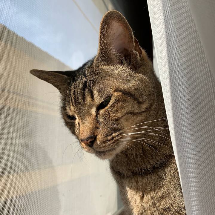 A700f08f 6072 418f bc38 01ccf2e304e3 1555464744738