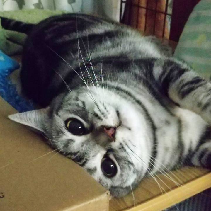 A7010254 18f2 4b2e a3b1 cd486401bf9c 1620475248265